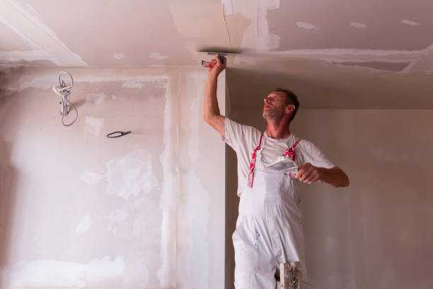 Best Ceiling Drywall Installation  in Franklin, VA